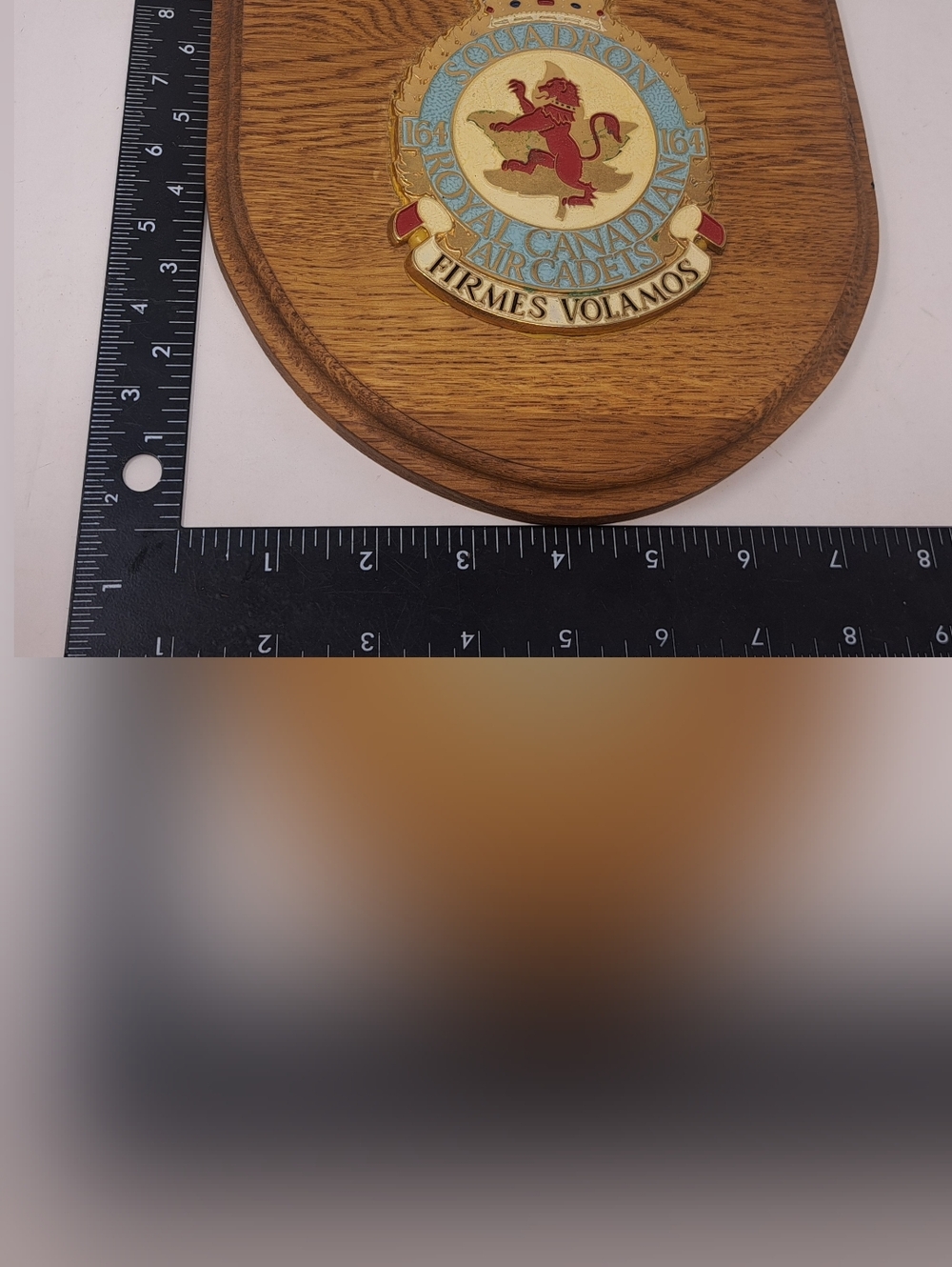 Royal Canadian Air Cadets Squadron 164 Vintage Wood Plaque Armed Forces Military - Picture 6 of 7